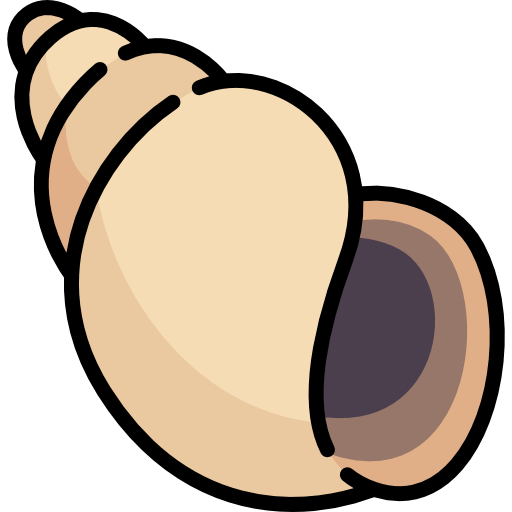 shell